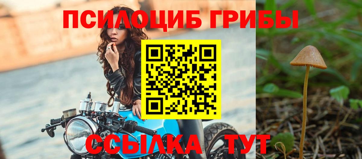 Псилоцибиновые грибы прущие грибы  Вход с VPN  Галлюциногенные грибы Psilocybe  Абинск 