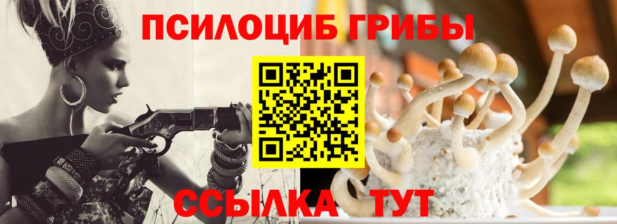 Псилоцибиновые грибы мухоморы Абинск